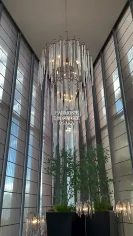 user00672029831のTikTok投稿