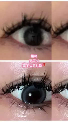 ちゃんまいですのTikTok投稿