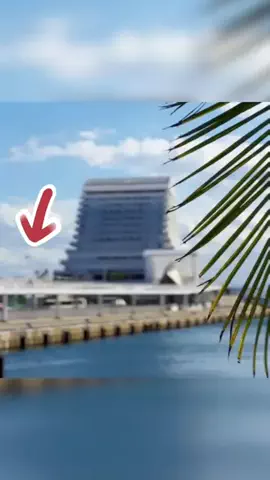 HHHaのTikTok投稿