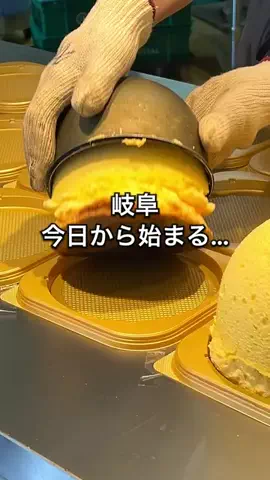 まる🌱岐阜東濃・子連れグルメのTikTok投稿