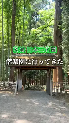 さき^._.^♡のTikTok投稿