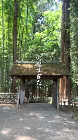 さき^._.^♡のTikTok投稿