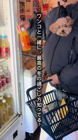 俺グリのTikTok投稿