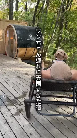 俺グリのTikTok投稿