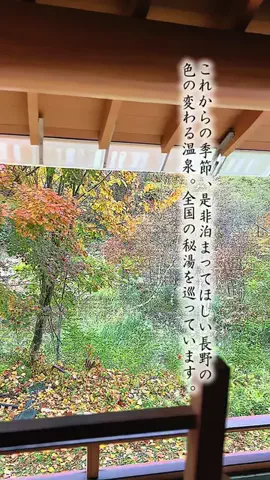 Fuki Fu-campのTikTok投稿