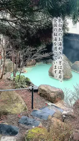 Fuki Fu-campのTikTok投稿