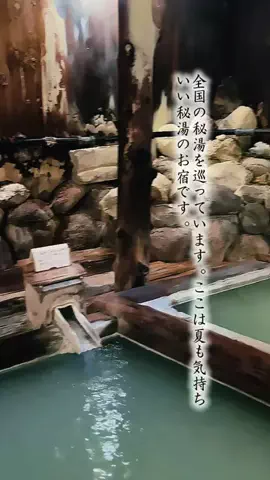 Fuki Fu-campのTikTok投稿