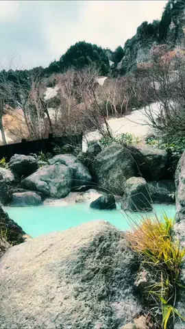 Fuki Fu-campのTikTok投稿