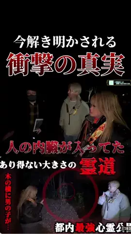 やおよろずのTikTok投稿