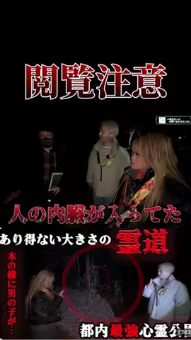 やおよろずのTikTok投稿