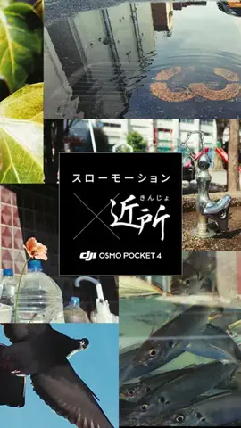 🥷のTikTok投稿