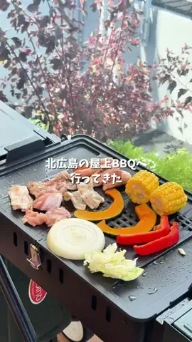道産子MAYU旅日記のTikTok投稿