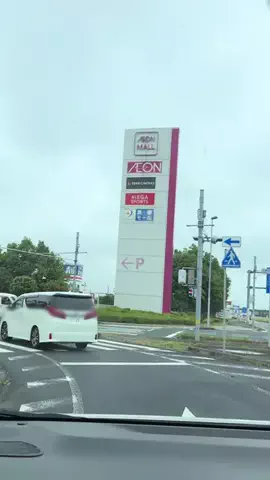 映え旅ハンターのTikTok投稿