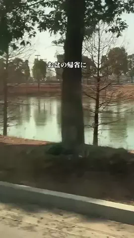 矢は葉山にのTikTok投稿