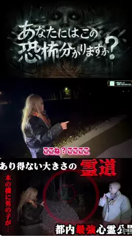 やおよろずのTikTok投稿