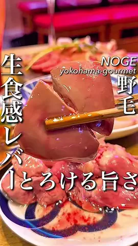 横浜グルメ/神奈川グルメ【公式】のTikTok投稿
