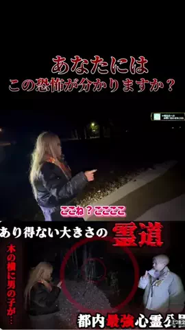 やおよろずのTikTok投稿