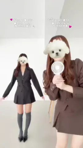chipiのTikTok投稿