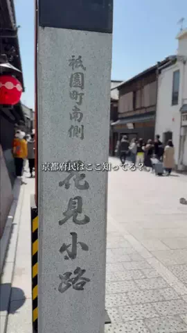 京都グルメ／KYOTO SELECTのTikTok投稿