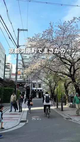 京都グルメ／KYOTO SELECTのTikTok投稿