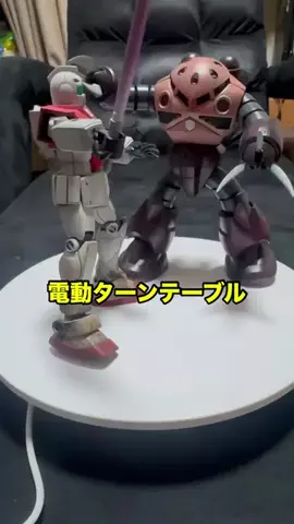 パクパクめだかのTikTok投稿
