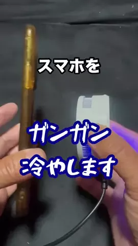 パクパクめだかのTikTok投稿