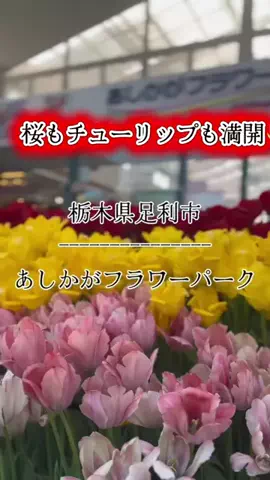 茨城と栃木の県境に住んでいますのTikTok投稿
