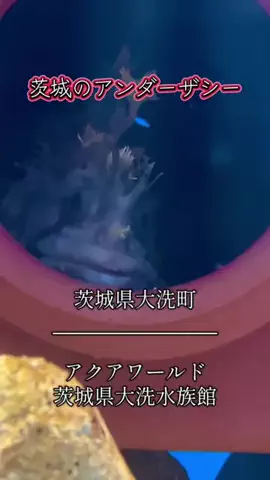 茨城と栃木の県境に住んでいますのTikTok投稿