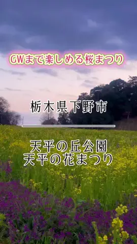 茨城と栃木の県境に住んでいますのTikTok投稿