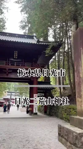 茨城と栃木の県境に住んでいますのTikTok投稿