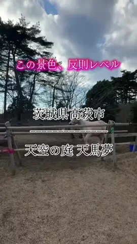 茨城と栃木の県境に住んでいますのTikTok投稿