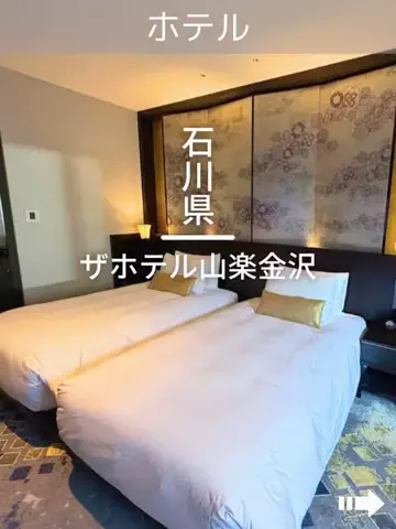 デンじょーの旅のTikTok投稿