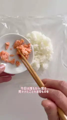 momo キャラ弁料理家のTikTok投稿