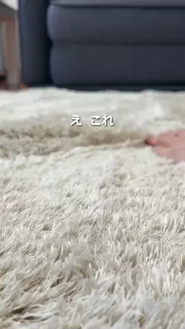 お〜ちゃんのTikTok投稿