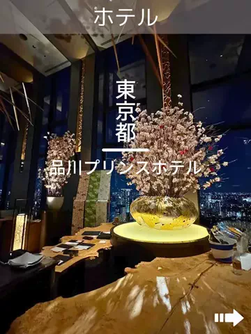 デンじょーの旅のTikTok投稿