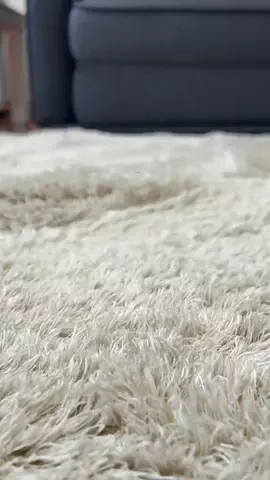 お〜ちゃんのTikTok投稿