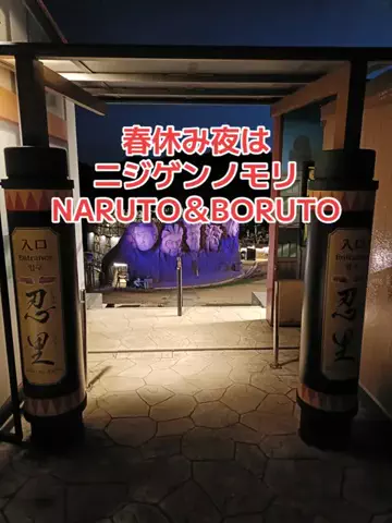 野良猫　イチくんとナナちゃんのTikTok投稿