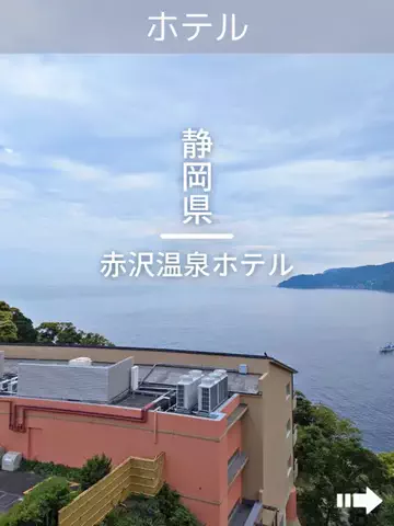 デンじょーの旅のTikTok投稿