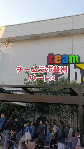 野良猫　イチくんとナナちゃんのTikTok投稿