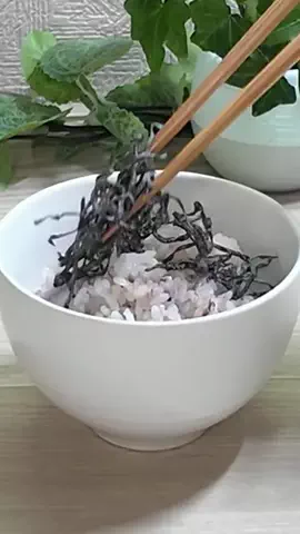 お〜ちゃんのTikTok投稿