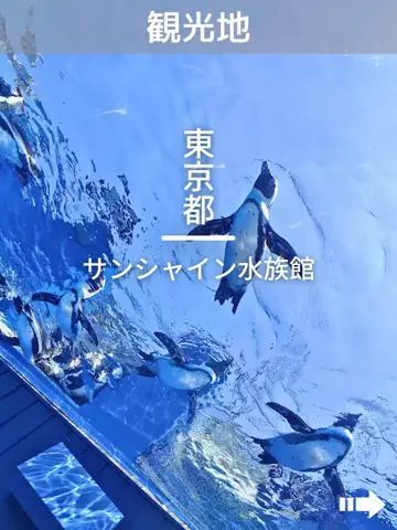 デンじょーの旅のTikTok投稿
