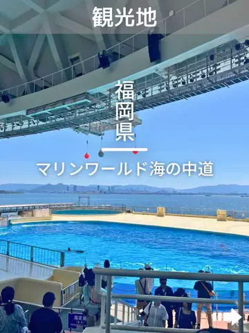 デンじょーの旅のTikTok投稿