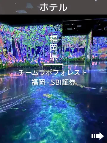 デンじょーの旅のTikTok投稿
