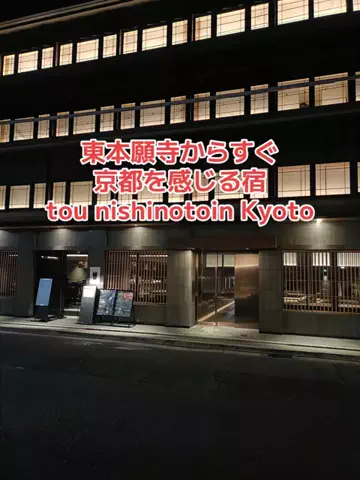 野良猫　イチくんとナナちゃんのTikTok投稿
