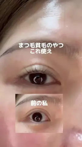 ビザちゃんのTikTok投稿