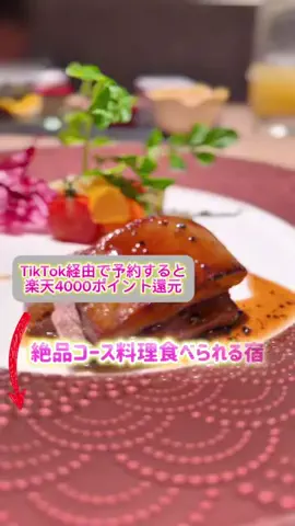 あやか＊お出かけ＆旅行好きな東京ママのTikTok投稿