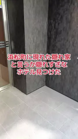 野良猫　イチくんとナナちゃんのTikTok投稿