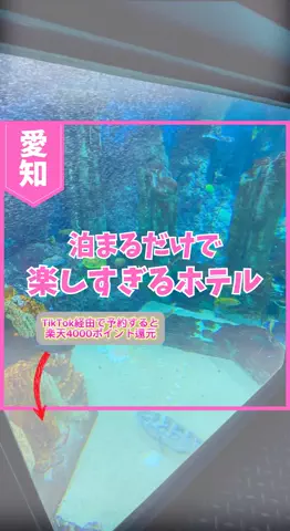 あやか＊お出かけ＆旅行好きな東京ママのTikTok投稿