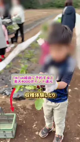 あやか＊お出かけ＆旅行好きな東京ママのTikTok投稿