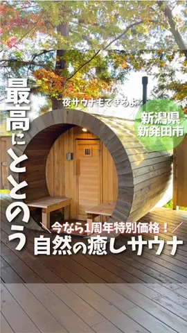 もぐもぐ新潟のTikTok投稿
